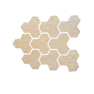  Acoustic panel