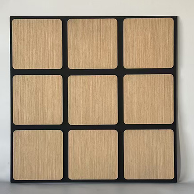  Acoustic panel